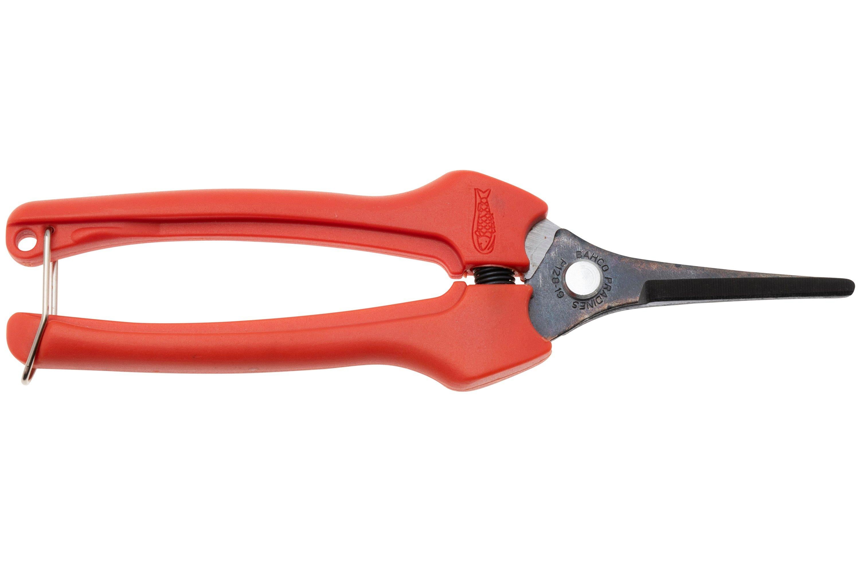 TIJERA RALEO RECTA P128-19  BAHCO