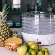 DESHIDRATADOR DE ALIMENTOS BDA020 BLANIK