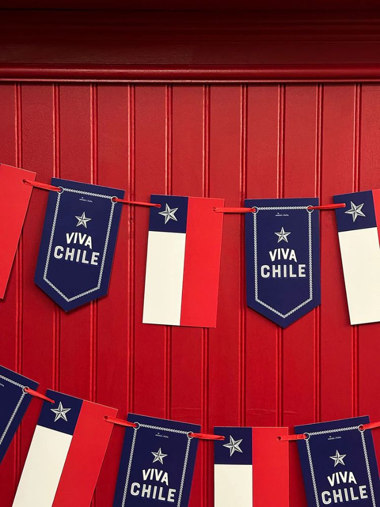 GUIRNALDA BANDERA VIVA CHILE INDIGO DE PAPEL