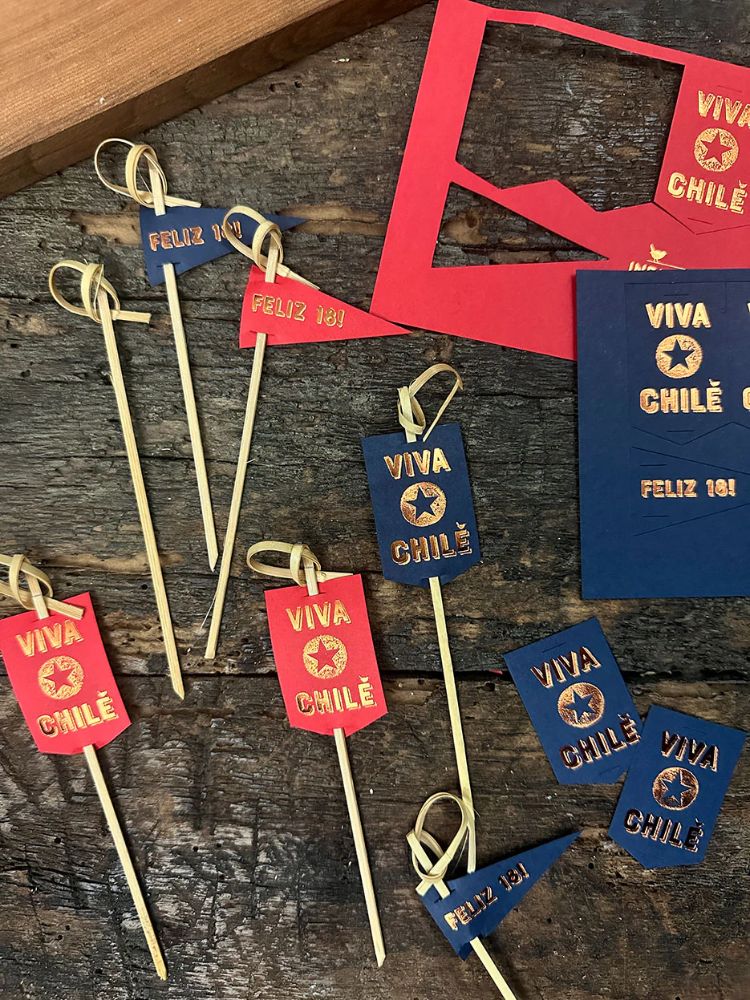 SET 12 PINCHOS FOLIA VIVA CHILE INDIGO