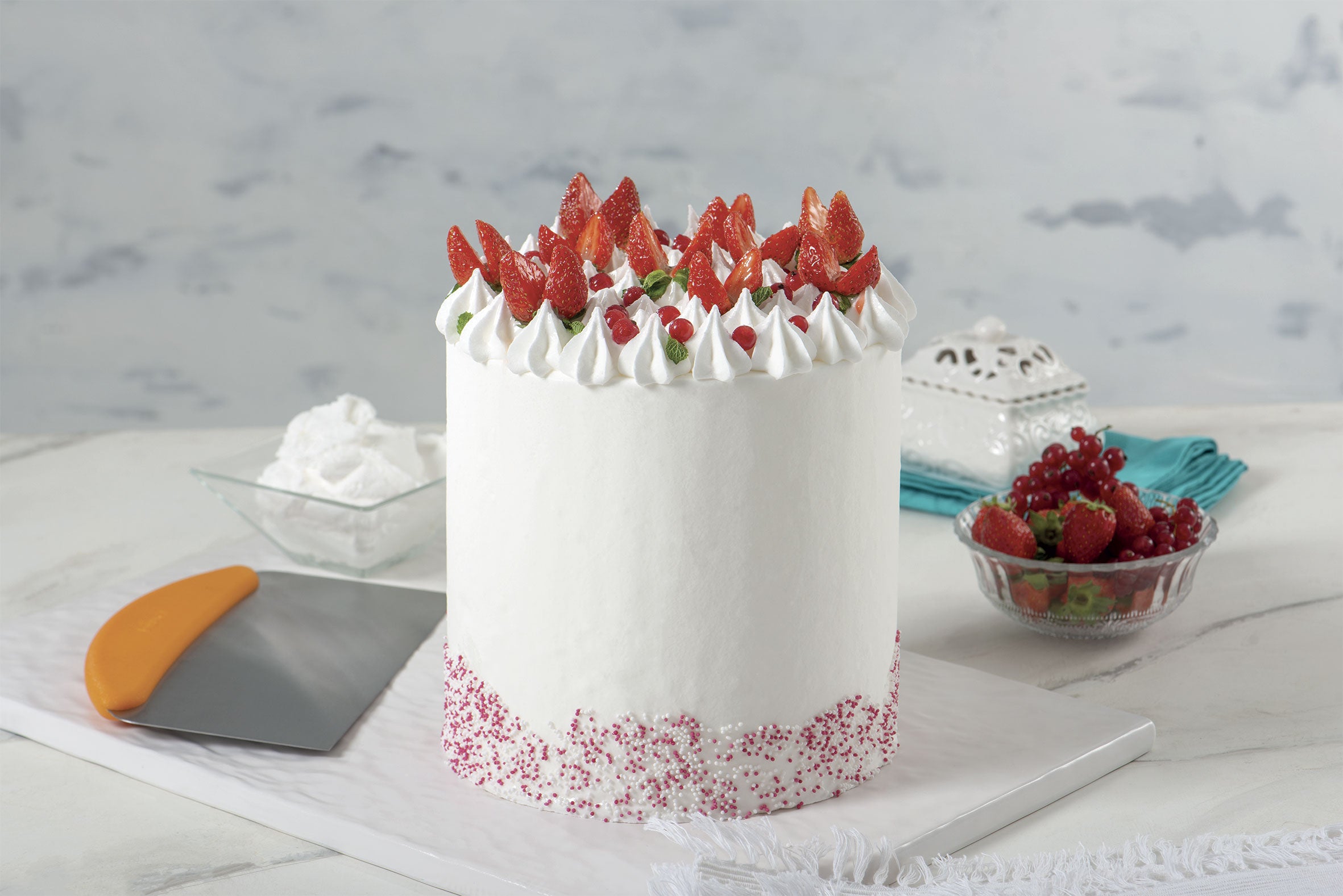 RASPA LISA ACERO INOX 22.5 X 11 H CM DECORA