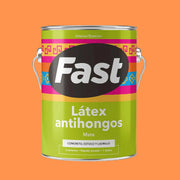 LATEX ANTIHONGO FAST DAMASCO GALON