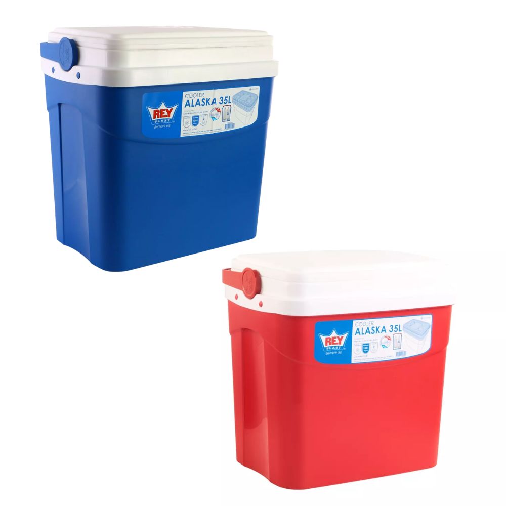 NEVERA / COOLER  35 LTS SURTIDO REY