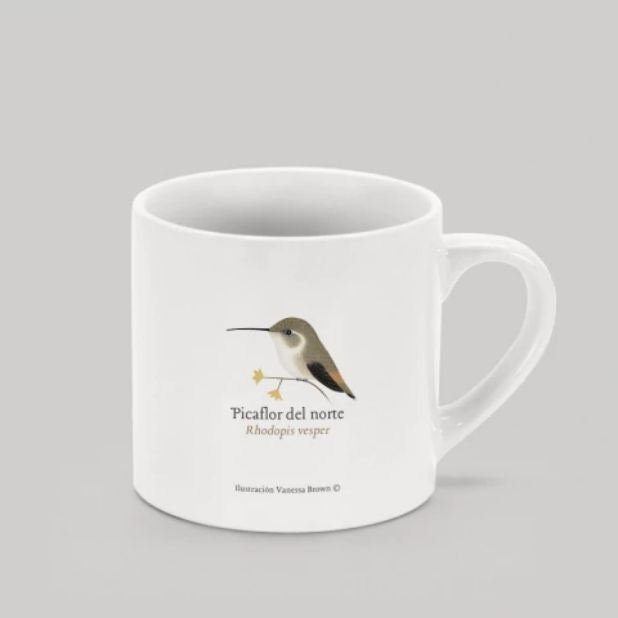 MINI TAZON 170 ML PICAFLOR DEL NORTE