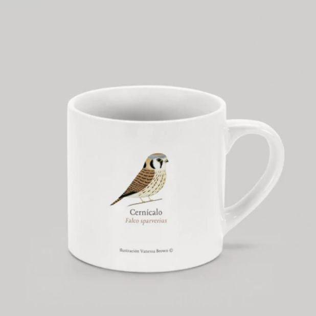 MINI TAZON 170 ML CERNICALO