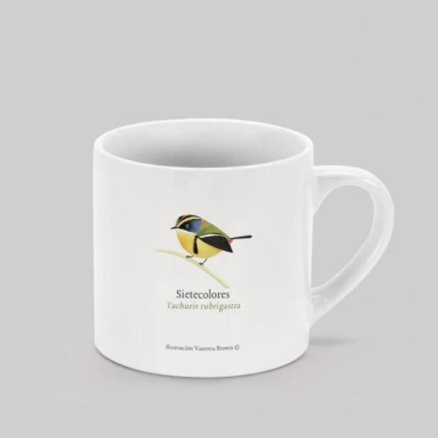 MINI TAZON 170 ML SIETE COLORES